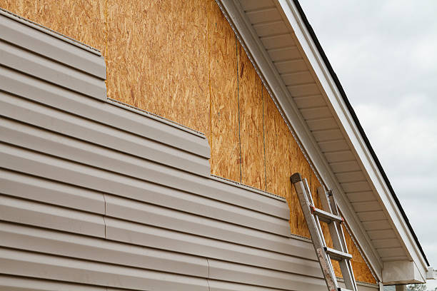 Professional Wood Siding technician working in Henderson, KY